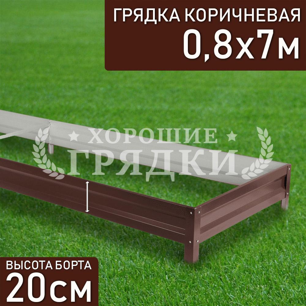 Коричневая-20-08-7